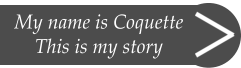 My name is Coquette This is my story